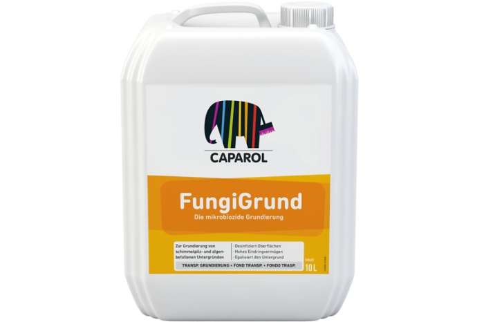FungiGrund - Image 1